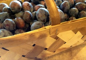 A peck basket from the Asheville Farmer's Market